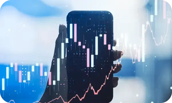 Momovex procesos trading automatizado